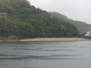Psaino9.jpg
