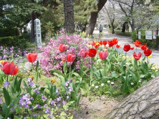 Psakuras4.jpg