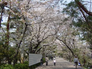 Psakuras5.jpg