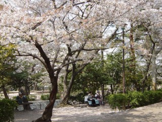Psakuras7.jpg