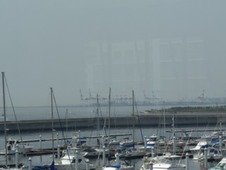Pseaside29.jpg