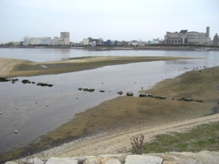 Pseaside4.jpg