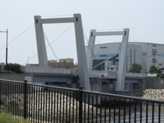 Pseaside9.jpg