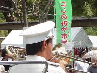 Psimimatu4.jpg