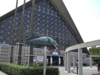 Psumasui3.jpg