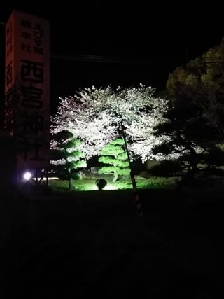 Psyukur4.jpg
