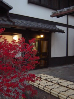 Ptaneya.jpg