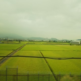 Ptkhk8.jpg