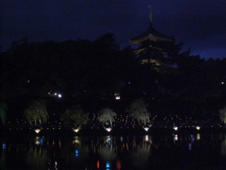 Ptokae5.jpg