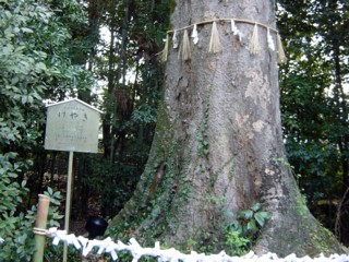 Pujigami3.jpg