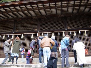 Pujigami4.jpg