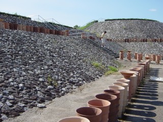 Pumami3.jpg