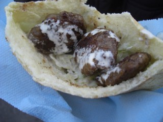 Pumatoka5.jpg