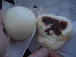 Pumatoka8.jpg