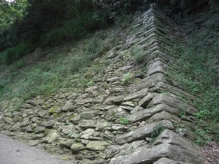 Pwaka5.jpg