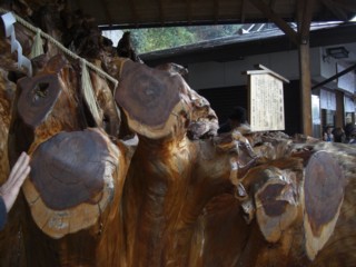Pyakuyoke3.jpg