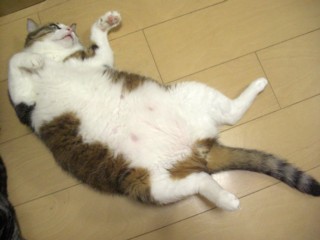 Pyasumi.jpg