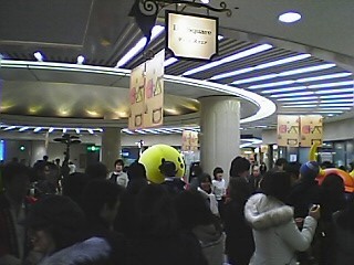 hikonyan8.jpg