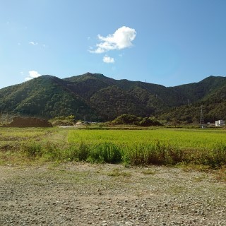 tnmn2.jpg