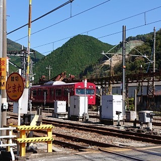 tnmn3.jpg