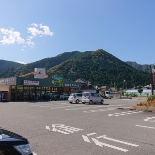 tnmn4.jpg