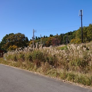 tnmn6.jpg
