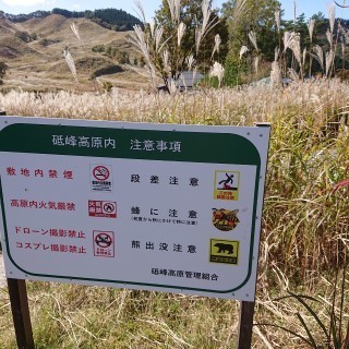 tnmn8.jpg