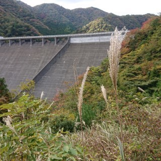 tnmnd0.jpg