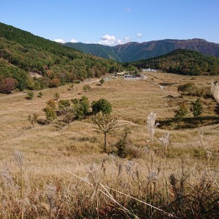 tnmnh2.jpg
