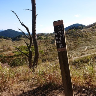 tnmnh6.jpg